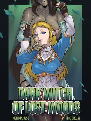 Zelda Porn Comics
