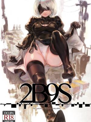 2B9S