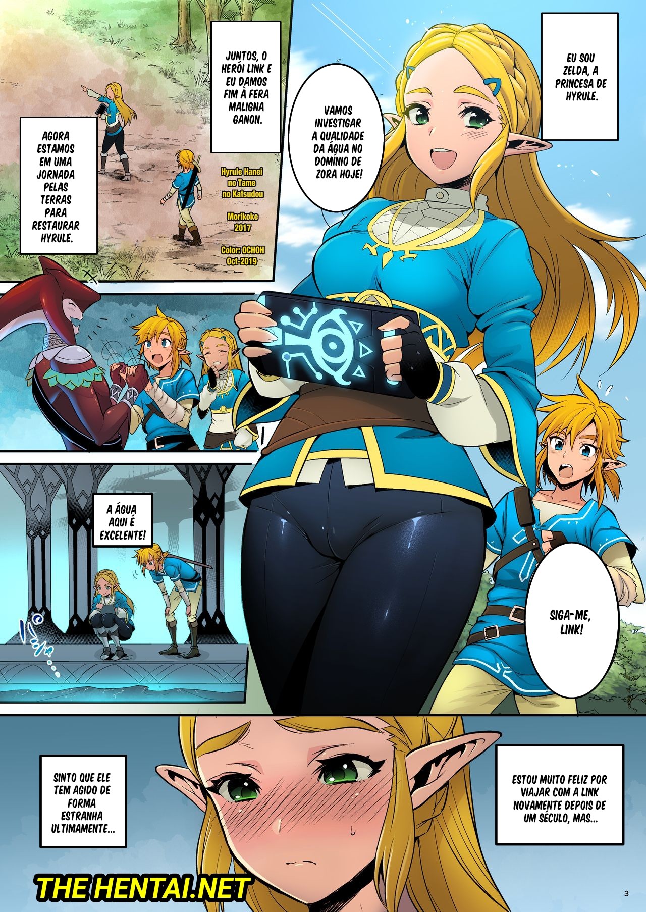 Taking Steps to Ensure Hyrule's Prosperity! Hentai pt-br 04