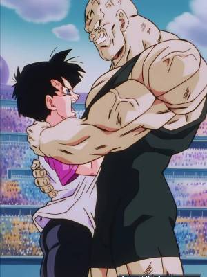 Videl: She Never Stood a Chance