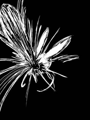 Hotel Rose By Dragonweirdo Hentai pt-br 63